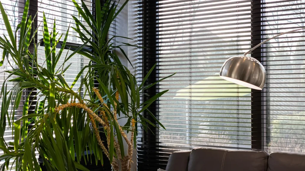 Bay Decorators NY Commercial Shades